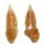 TURRIDAE PLAGIOSTROPHA OPALUS shell
