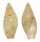 OLIVIDAE GRACILISPIRA LINEATA shell