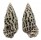 CERITHIIDAE CERITHIUM PUNCTATUM shell