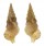 CERITHIIDAE CERITIUM LISSUM shell