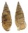 CERITHIIDAE RHINOCLAVIS SINENSIS shell