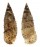 CERITHIIDAE RHINOCLAVIS SINENSIS shell