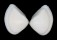 MACTRIDAE SPISULA TRIGONELLA shell