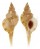 RANELLIDAE TURRITRITON TENUILIRATUM shell