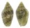 MARGINELLIDAE MARGINELLA SPINACIA shell