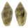 MARGINELLIDAE MARGINELLA SPINACIA shell