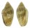 MARGINELLIDAE MARGINELLA SPINACIA shell