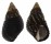 PLANAXIDAE PLANAXIS SULCATUS shell
