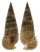 CERITHIIDAE RHINOCLAVIS SINENSIS shell