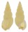 NASSARIIDAE HIMA CAPENSIS shell