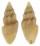 TURRIDAE TRIPIDOTURRIS FOSSATA NOTIALIS shell