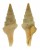 TURRIDAE CLAVATULA STREBELI shell