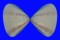 VENERIDAE TIVELA TRIPLA shell