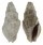 TURRIDAE CRASSISPIRA PSEUDOCARBONARIA shell