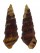 THIARIDAE PACHYMELANIA cf. AURITA shell