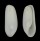 CYLICHNIDAE ADAMNESTIA CONSOBRINOIDES shell