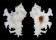 MURICIDAE HOMALOCANTHA ANATOMICA PELE shell