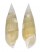 CERITHIIDAE RHINOCLAVIS VERTAGUS shell