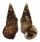 POTAMIDIDAE TEREBRALIA SULCATA shell