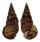 POTAMIDIDAE TEREBRALIA SULCATA shell