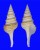 TURRIDAE GEMMULA SIKATUNAI shell