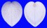 CARDIIDAE CORCULUM CARDISSA LORENZI shell