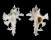 MURICIDAE HOMALOCANTHA ZAMBOI shell