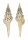 TURRIDAE UNEDOGEMMULA FRIEDRICHBONHOEFFERI shell