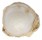 HIPPONICIDAE CHEILEA CEPACEA shell