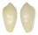 MARGINELLIDAE HYDROGINELLA TRIDENTATA shell
