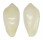 MARGINELLIDAE HYDROGINELLA TRIDENTATA shell