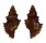 MURICIDAE MURICOPSIS CRISTATUS shell