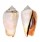 STROMBIDAE STROMBUS LUHUANUS shell