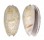 OLIVIDAE OLIVA BULBOSA BICINGULATA shell