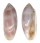 MARGINELLIDAE VOLVARINA AVENA VARIA shell