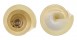LANDSNAIL VIDENA SIBUYANICA shell