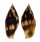 MITRIDAE NEBULARIA CHRYSOSTOMA shell