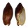 VOLUTIDAE CYMBIOLA VESPERTILIO shell