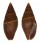 MITRIDAE NEBULARIA LUCTUOSA shell