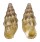 CERITHIIDAE COLINA PINGUIS shell