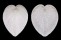 CARDIIDAE CORCULUM CARDISSA LORENZI shell
