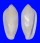 MARGINELLIDAE SERRATA DELESSERTIANA shell