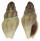 TURRIDAE CRASSISPIRA PSEUDOCARBONARIA shell