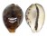 CYPRAEIDAE CYPRAEA TIGRIS shell