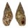 COLUMBELLIDAE MITRELLA BURCHARDI shell