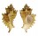 MURICIDAE OCENEBRA ERINACEUS HANLEYI shell