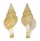 FASCIOLARIIDAE LATIRUS STAMINATUS shell