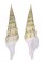 TURRIDAE TURRIS NADAENSIS shell