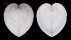 CARDIIDAE CORCULUM CARDISSA LORENZI shell