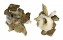 XENOPHORIDAE XENOPHORA PALLIDULA shell